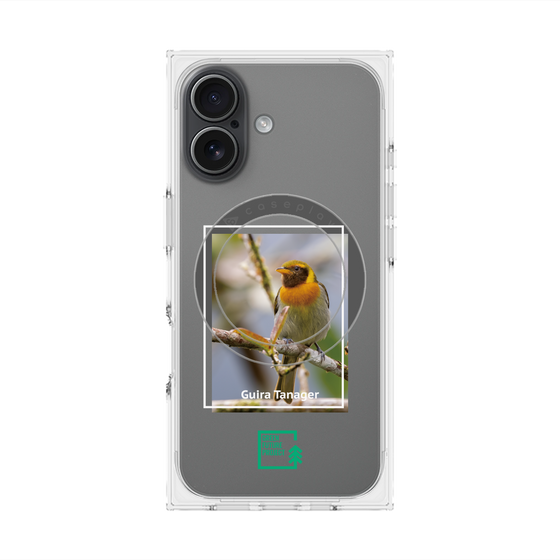 Premium Square Case with MagSafe［ Green Future Project - Guira Tanager ］