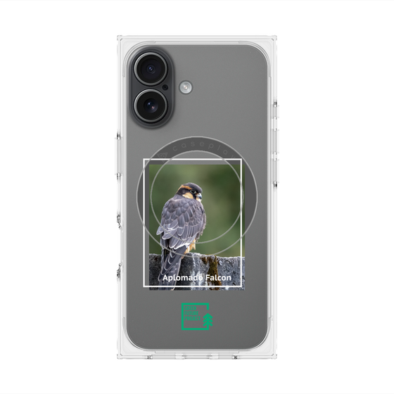 Premium Square Case with MagSafe［ Green Future Project - Aplomado Falcon ］