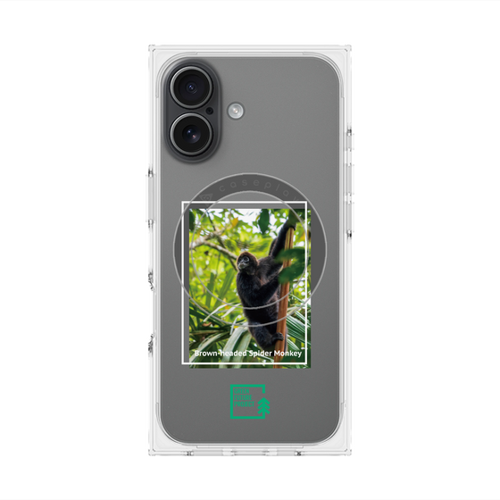 Premium Square Case with MagSafe［ Green Future Project - Brown-headed Spider Monkey ］