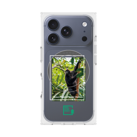 Premium Square Case with MagSafe［ Green Future Project - Brown-headed Spider Monkey ］