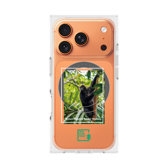 Premium Square Case with MagSafe［ Green Future Project - Brown-headed Spider Monkey ］