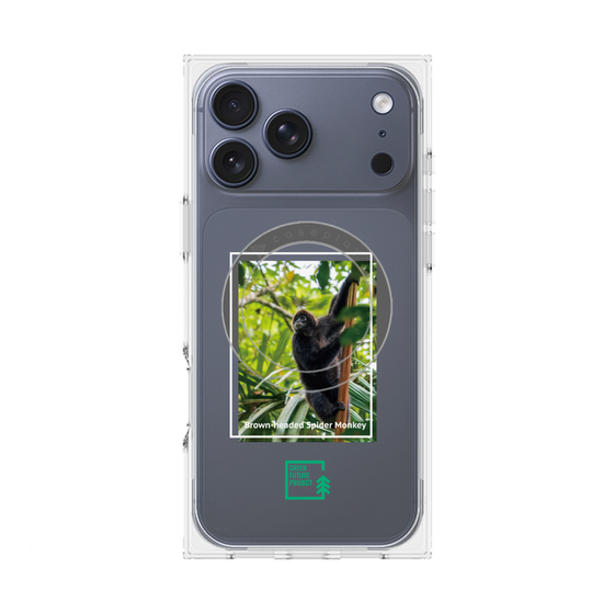 Premium Square Case with MagSafe［ Green Future Project - Brown-headed Spider Monkey ］