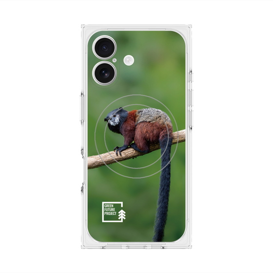 Premium Square Case with MagSafe［ Green Future Project - Saddle-backTamarin ］