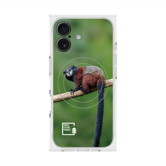 Premium Square Case with MagSafe［ Green Future Project - Saddle-backTamarin ］