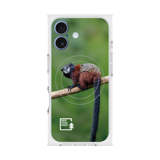 Premium Square Case with MagSafe［ Green Future Project - Saddle-backTamarin ］