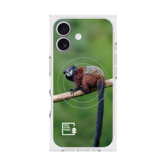 Premium Square Case with MagSafe［ Green Future Project - Saddle-backTamarin ］