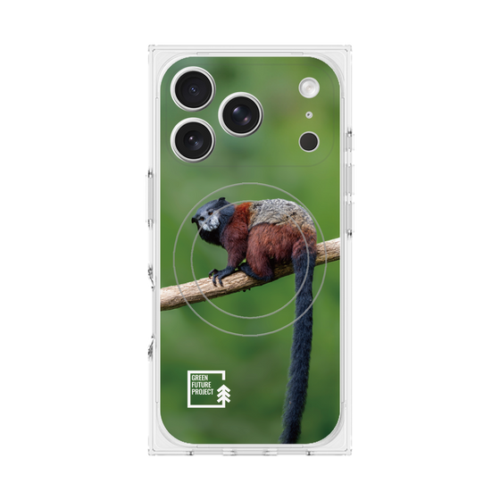 Premium Square Case with MagSafe［ Green Future Project - Saddle-backTamarin ］