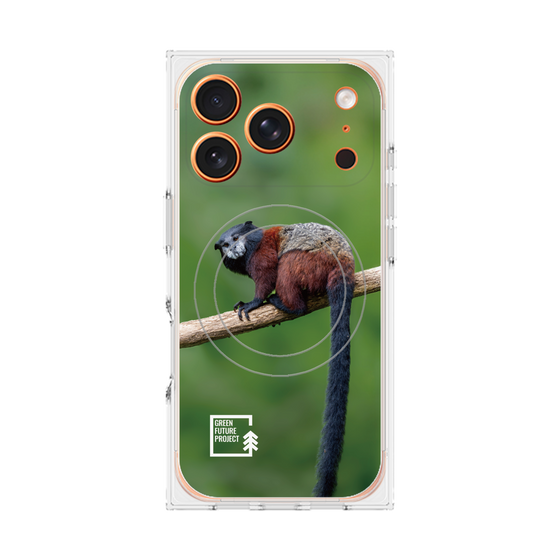 Premium Square Case with MagSafe［ Green Future Project - Saddle-backTamarin ］