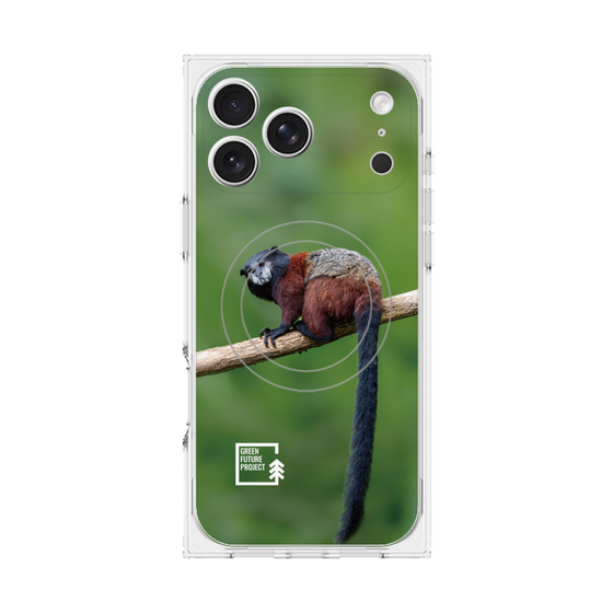 Premium Square Case with MagSafe［ Green Future Project - Saddle-backTamarin ］