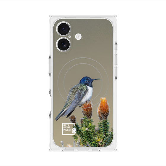 Premium Square Case with MagSafe［ Green Future Project - Ecuadorian Hillstar ］