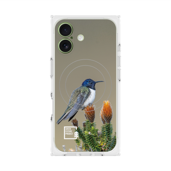 Premium Square Case with MagSafe［ Green Future Project - Ecuadorian Hillstar ］