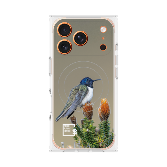 Premium Square Case with MagSafe［ Green Future Project - Ecuadorian Hillstar ］