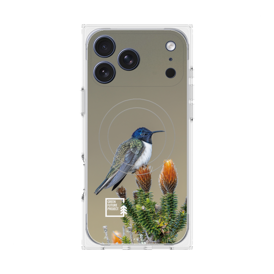 Premium Square Case with MagSafe［ Green Future Project - Ecuadorian Hillstar ］