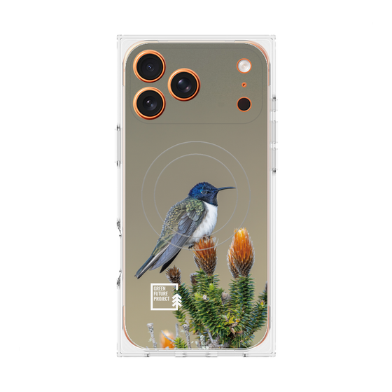 Premium Square Case with MagSafe［ Green Future Project - Ecuadorian Hillstar ］