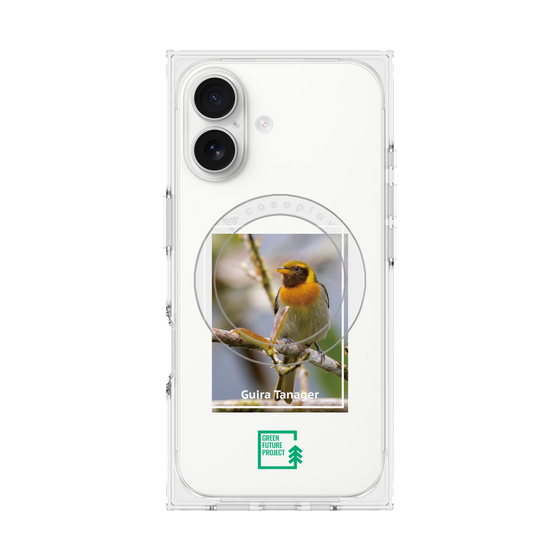Premium Square Case with MagSafe［ Green Future Project - Guira Tanager ］