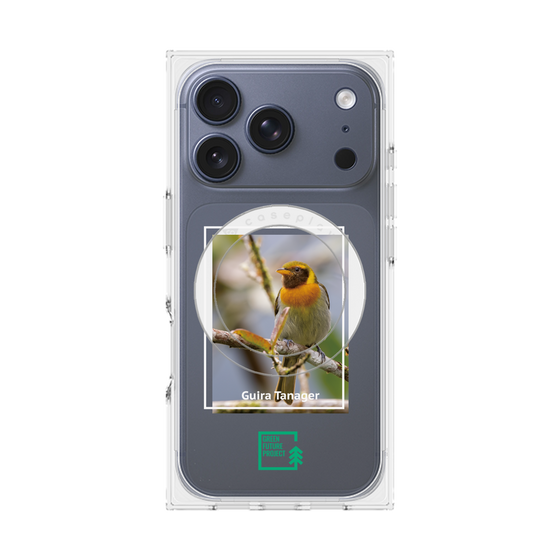 Premium Square Case with MagSafe［ Green Future Project - Guira Tanager ］