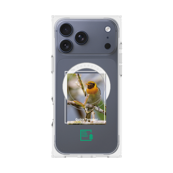 Premium Square Case with MagSafe［ Green Future Project - Guira Tanager ］
