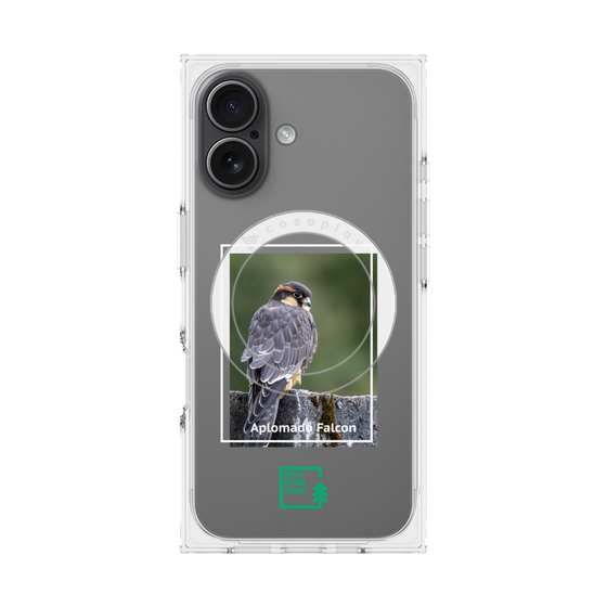 Premium Square Case with MagSafe［ Green Future Project - Aplomado Falcon ］
