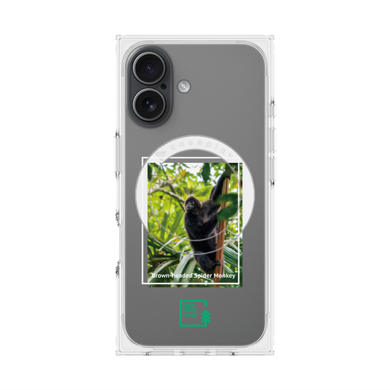 Premium Square Case with MagSafe［ Green Future Project - Brown-headed Spider Monkey ］