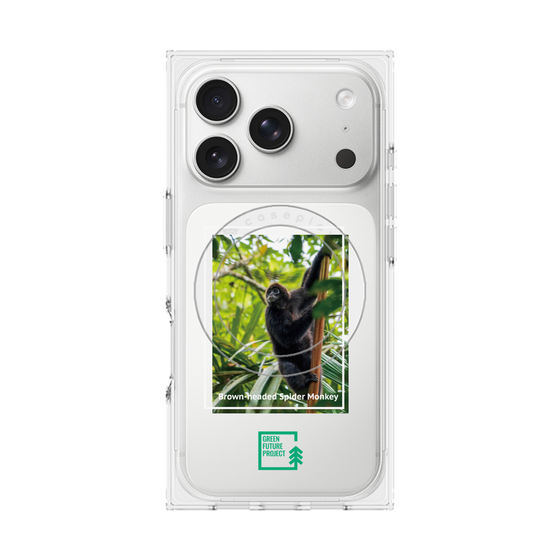 Premium Square Case with MagSafe［ Green Future Project - Brown-headed Spider Monkey ］