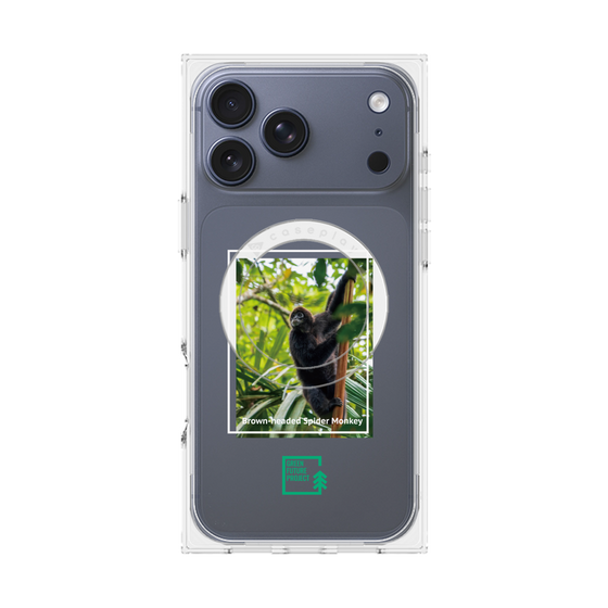 Premium Square Case with MagSafe［ Green Future Project - Brown-headed Spider Monkey ］