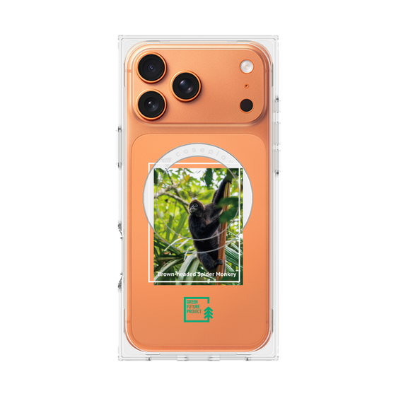Premium Square Case with MagSafe［ Green Future Project - Brown-headed Spider Monkey ］