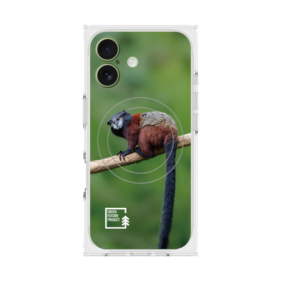 Premium Square Case with MagSafe［ Green Future Project - Saddle-backTamarin ］