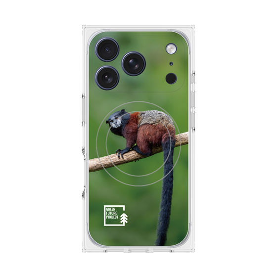 Premium Square Case with MagSafe［ Green Future Project - Saddle-backTamarin ］