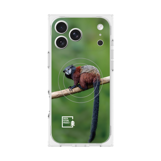 Premium Square Case with MagSafe［ Green Future Project - Saddle-backTamarin ］