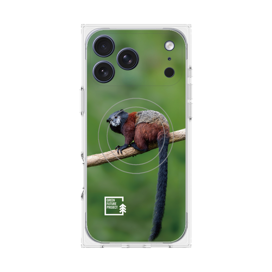 Premium Square Case with MagSafe［ Green Future Project - Saddle-backTamarin ］