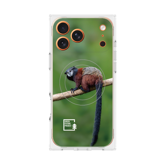 Premium Square Case with MagSafe［ Green Future Project - Saddle-backTamarin ］