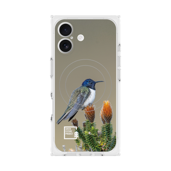 Premium Square Case with MagSafe［ Green Future Project - Ecuadorian Hillstar ］