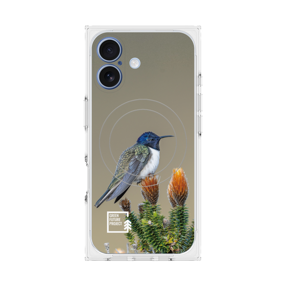 Premium Square Case with MagSafe［ Green Future Project - Ecuadorian Hillstar ］