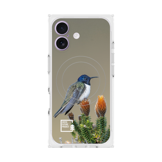 Premium Square Case with MagSafe［ Green Future Project - Ecuadorian Hillstar ］