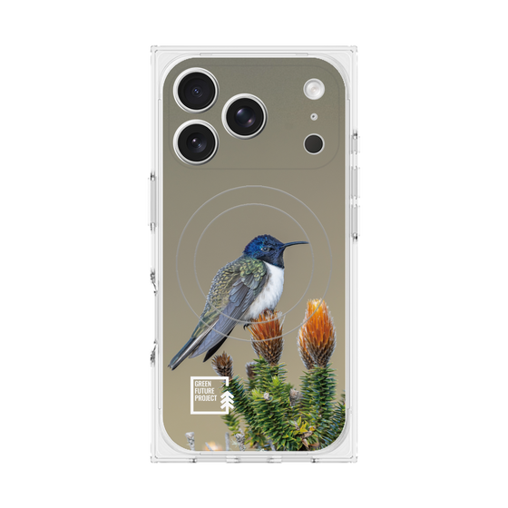 Premium Square Case with MagSafe［ Green Future Project - Ecuadorian Hillstar ］