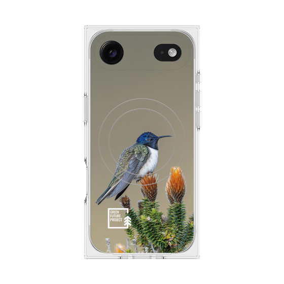 Premium Square Case with MagSafe［ Green Future Project - Ecuadorian Hillstar ］