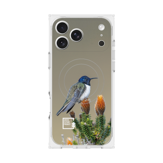 Premium Square Case with MagSafe［ Green Future Project - Ecuadorian Hillstar ］