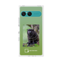 Premium Square Case with SnapMag［ Green Future Project - Black-mantled Tamarin ］