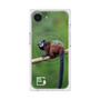 Premium Square Case with SnapMag［ Green Future Project - Saddle-backTamarin ］