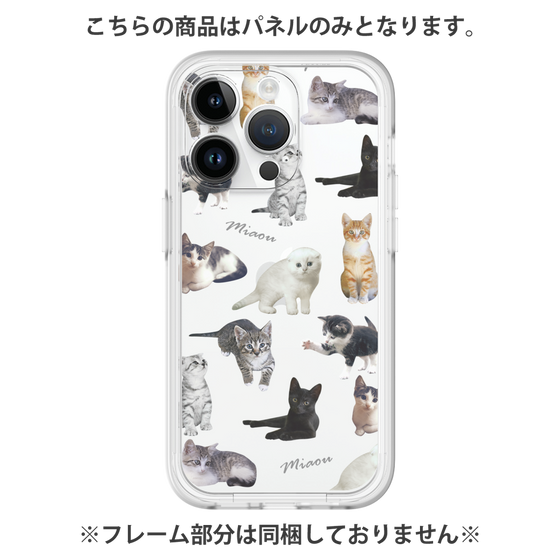 Premium Panel［ Cat Collection ］
