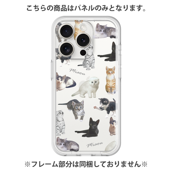 Premium Panel［ Cat Collection ］