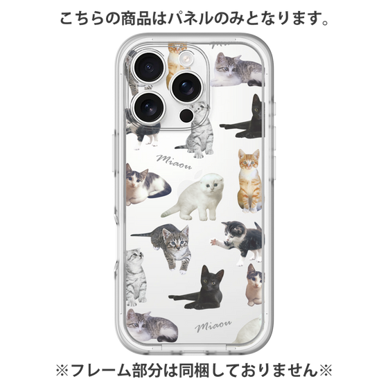 Premium Panel［ Cat Collection ］
