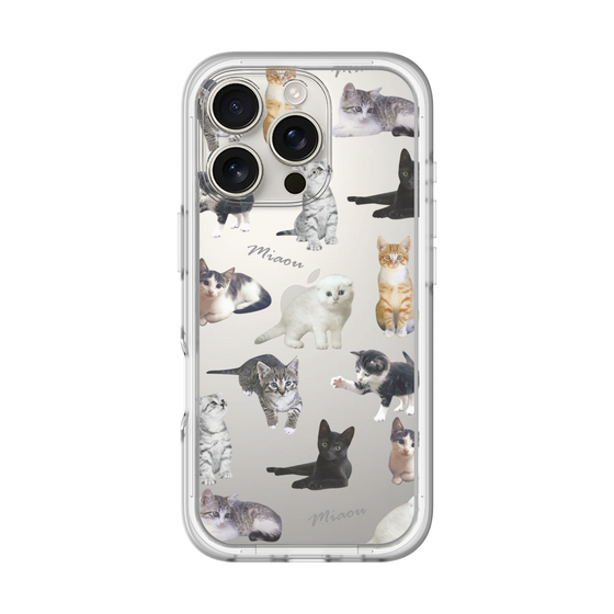 Premium Panel［ Cat Collection ］