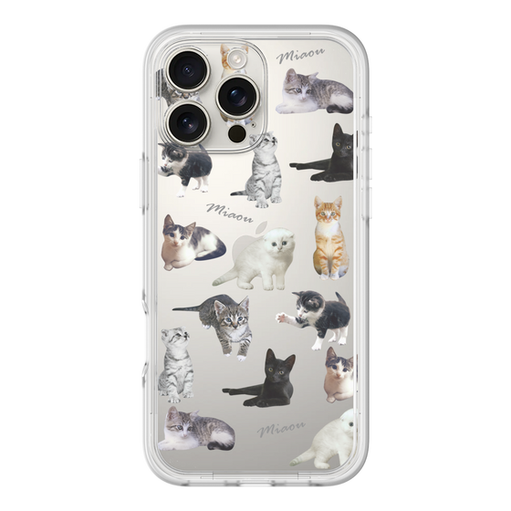 Premium Panel［ Cat Collection ］
