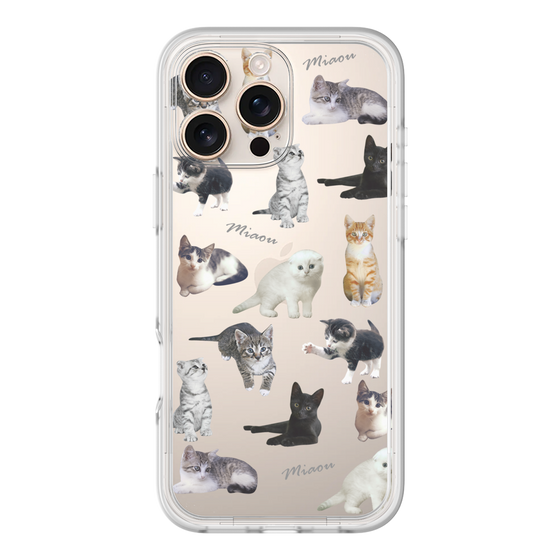 Premium Panel［ Cat Collection ］