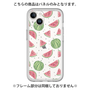 Premium Panel［ Crayon Watermelon ］