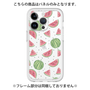 Premium Panel［ Crayon Watermelon ］
