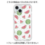 Premium Panel［ Crayon Watermelon ］