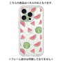 Premium Panel［ Crayon Watermelon ］