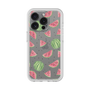 Premium Panel［ Crayon Watermelon ］